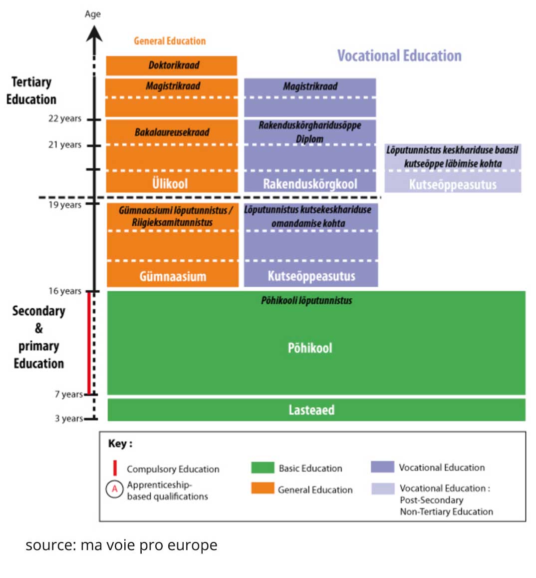 Visual depicting the Estonian Educational System
